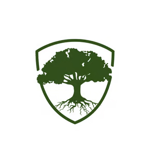 Testimonials from small business clients across multiple industries using Rook Forward for conversion-focused websites and Google Ads.